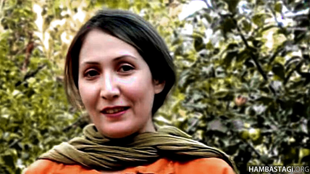 شریفه محمدی