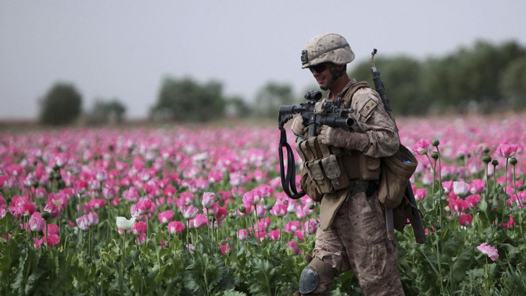 گزمه سربار امریکایی در مزرعه کوکنار افغانستان