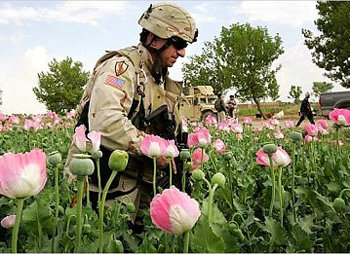 جنگ امریکا در افغانستان برای چپاول کشور است